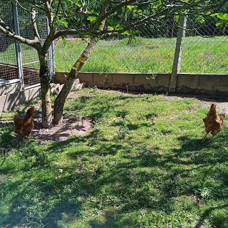 La Casita * Gustei