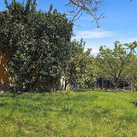 La Casita Casa vacanze Gustei